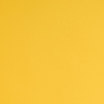 E3110M - Jaune Vif Mat 2